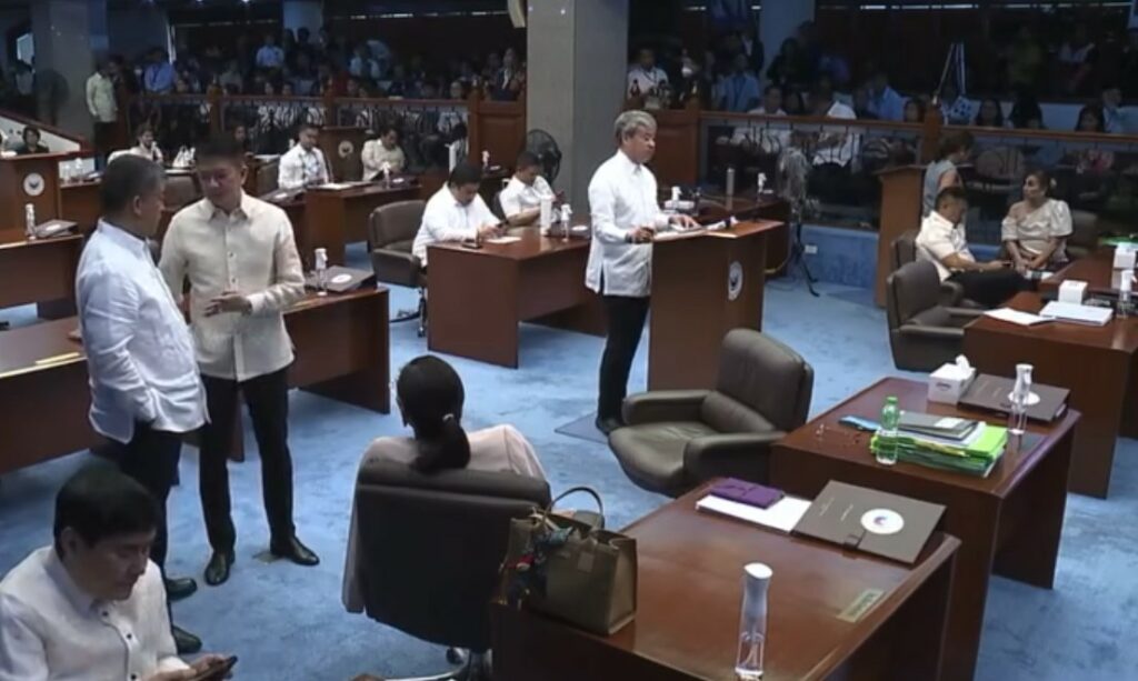 Senate Approves Negros Power Franchise